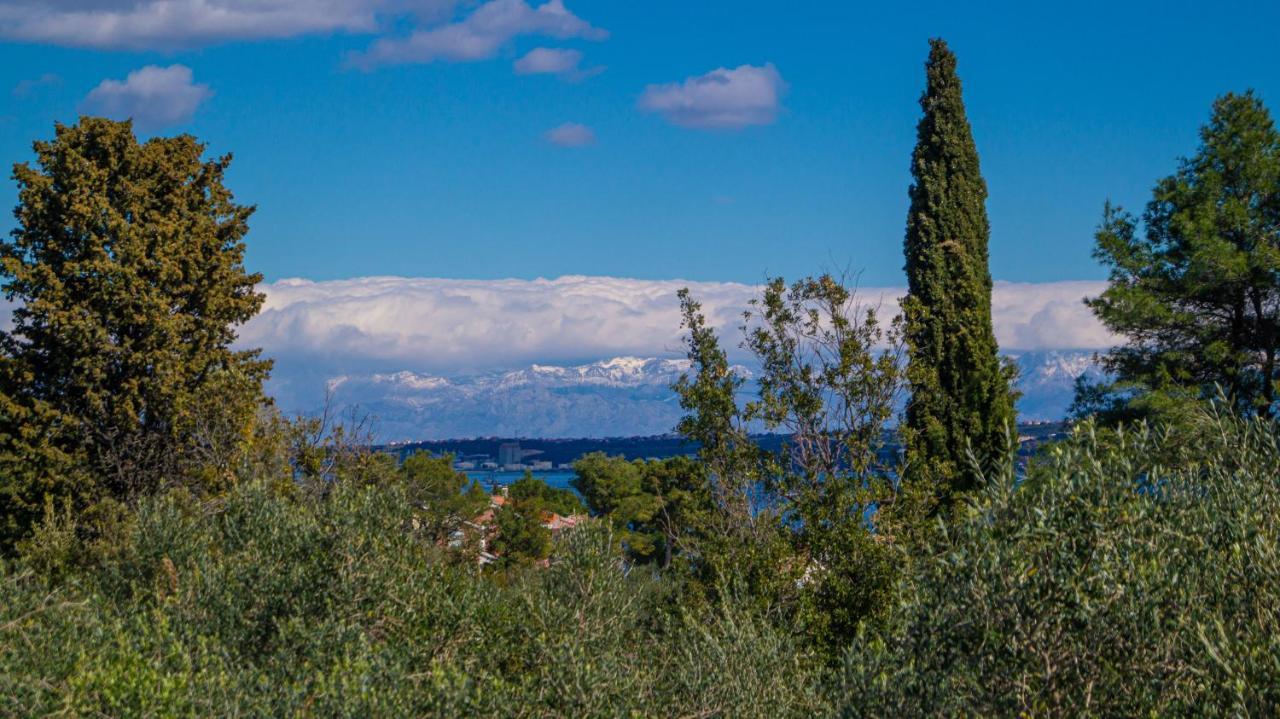 Vecchia Oliva,Kuljica Villa Kukljica Dış mekan fotoğraf
