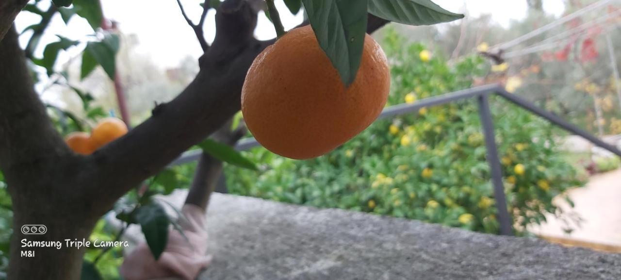 Vecchia Oliva,Kuljica Villa Kukljica Dış mekan fotoğraf